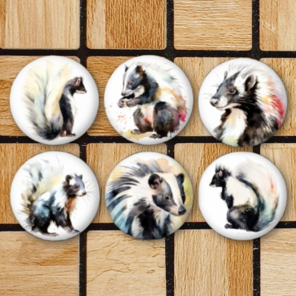 Skunk Fridge Magnets Set Of 6 Metal Magnets For Home Office Kitchen School